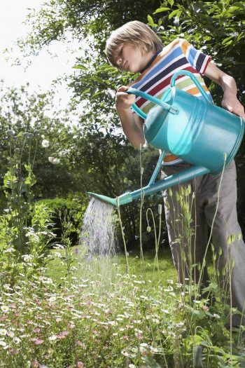 Mary Jane Detroyer Summer Activities Kids