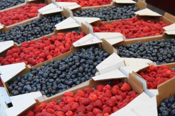 raspberries-Mary Jane Detroyer