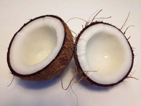 Coconut Oil